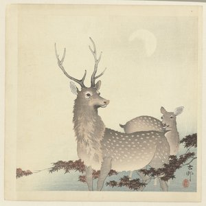 Dwa jelenie autorstwa Ohara Koson
