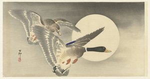 Dwie kaczki z pełnią księżyca autorstwa Ohara Koson