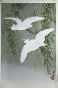 Dwie czaple lecące swobodnie, 1907 (drzeworyt kolorowy) autorstwa Ohara Koson