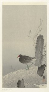 Waterhoen autorstwa Ohara Koson