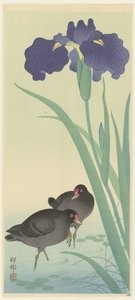 Kokoszka i irys. autorstwa Ohara Koson