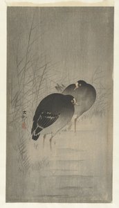Kokosy między trzcinami autorstwa Ohara Koson