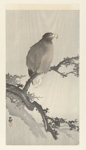 Bielik na gałęzi autorstwa Ohara Koson