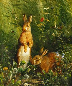 Zające, 1878 autorstwa Olaf August Hermansen
