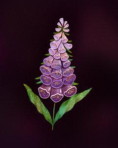 Elegancka fioletowa naparstnica
