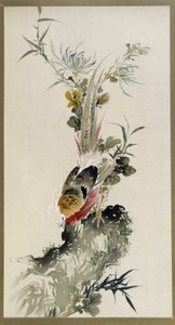 Bażant - akwarela, Onishi Keisaie autorstwa Onishi Keisai