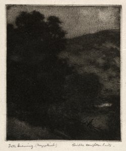 Późny wieczór autorstwa Orville Houghton Peets