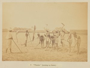 „Tumnie” (odwracanie ziemi)
