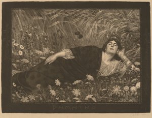 Dhamhatpi (Demeta) autorstwa Osmar Schindler
