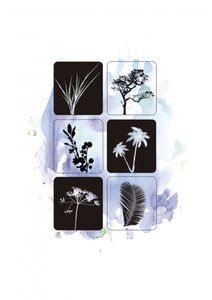 Botaniczne sylwetki w akwareli autorstwa Osvaldo Russo