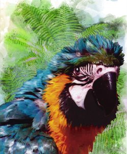 Żywy portret ary