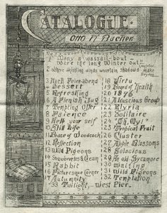 Katalog, 1878. autorstwa Otto H. Bacher