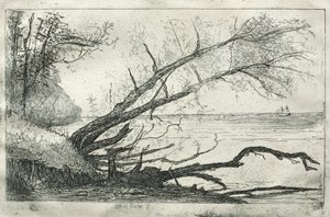 Stary Jawor, 1877. autorstwa Otto H. Bacher