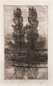 Topole, Ogród Królewski, Schleissheim, 1879. autorstwa Otto H. Bacher