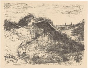 Dunes in Ameland (oryginalny tytuł na obiekcie)