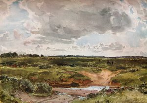 „Southwold Common w sierpniu”, ok. 1889 r. autorstwa Otto Limited