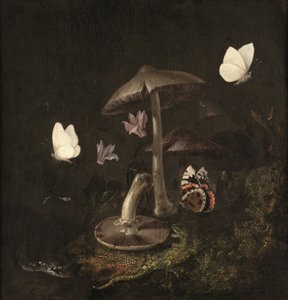 "Sotto bosco" z grzybami, motylami, ważką, wężem i jaszczurką (olej na płótnie) autorstwa Otto Marseus van Schrieck