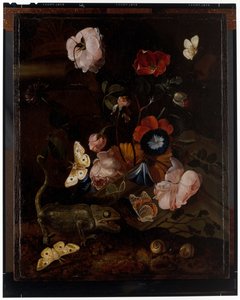 Las Martwa Natura autorstwa Otto Marseus  van Schrieck