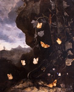Węże, ropuchy i motyle autorstwa Otto Marseus van Schrieck