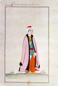 Sztuka osmańska: młody Turek. Drukuj z rękopisu autorstwa Ottoman School