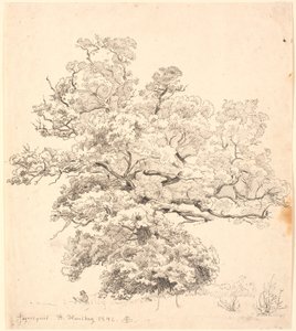 Duży dąb, pod którym siedzi rysownik. autorstwa P.C. Skovgaard