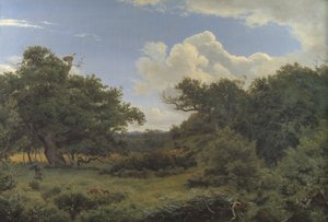 Dęby w Nordskoven niedaleko Jægerspris, Zelandia autorstwa P.C. Skovgaard