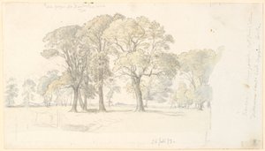 Partia z Parku Zwierząt Jægersborg z wolnostojącymi drzewami. autorstwa P.C. Skovgaard