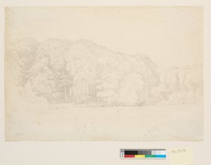 Skovsø z dużymi bukami w tle. autorstwa P.C. Skovgaard