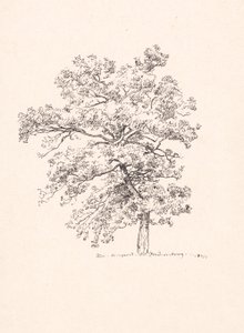 Drewno w Fredensborg autorstwa P.C. Skovgaard