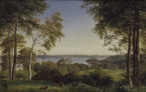 Widok na Skarre Sø
