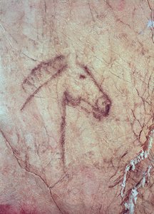 Głowa konia, z Cueva de la Pena de Candamo San Roman (malowidło jaskiniowe)