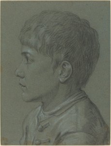 Głowa chłopca autorstwa Paolo Farinati