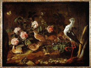 Martwa natura z sową i ibisem - Nature morte avec une chouette et un ibis ...