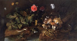 „Martwa natura z wężem, żabami, żółwiem i jaszczurką”, 1656-1673