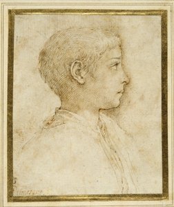 Popiersie chłopca z profilu po prawej (długopis i brązowy tusz na białym papierze) autorstwa Parmigianino