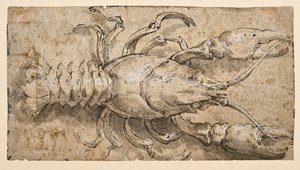Raki (rekto) autorstwa Parmigianino