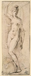 Postać kobieca - studium dla Santa Maria della Steccata, Parma (recto) autorstwa Parmigianino