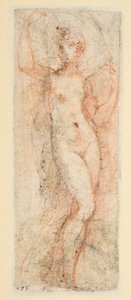 Postać kobieca - studium dla Steccaty (verso) autorstwa Parmigianino