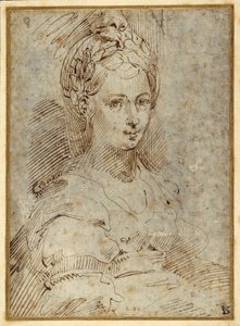 Połowa długości siedzącej kobiety (pióro i atrament na papierze) autorstwa Parmigianino