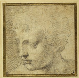 Głowa chłopca, prawie z profilu po lewej stronie (czarna kreda na papierze barwionym) autorstwa Parmigianino