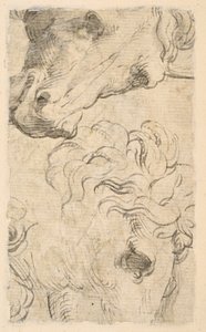 Dwa badania głów koni (fragment) (verso) autorstwa Parmigianino