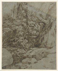 Studium krajobrazu autorstwa Parmigianino