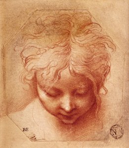 Studium głowy (czerwona kreda na papierze) autorstwa Parmigianino