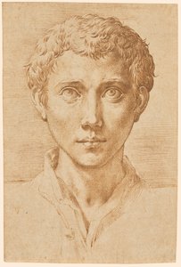 Głowa młodego mężczyzny autorstwa Parmigianino