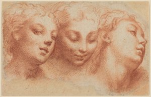  autorstwa Parmigianino