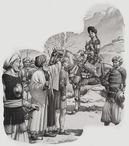 Janissaries (gwasz na papierze)