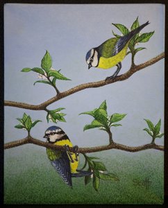 Bluetits, 2016 autorstwa Pat Scott