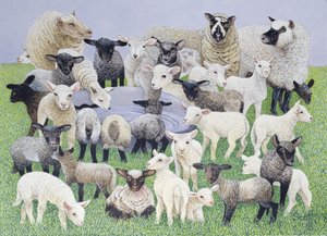 Feeling Sheepish (olej na płótnie)