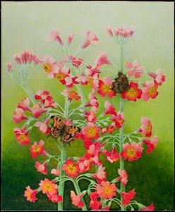 In the Pink, 2011 (akryl na perkalu)