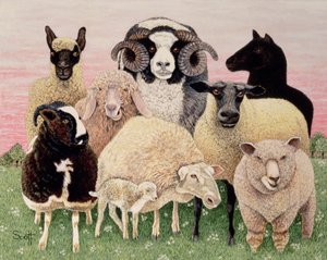 Shepherds Delight autorstwa Pat Scott